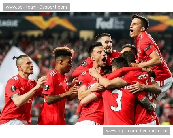 本菲卡伤病：从危机到重建的全景观察